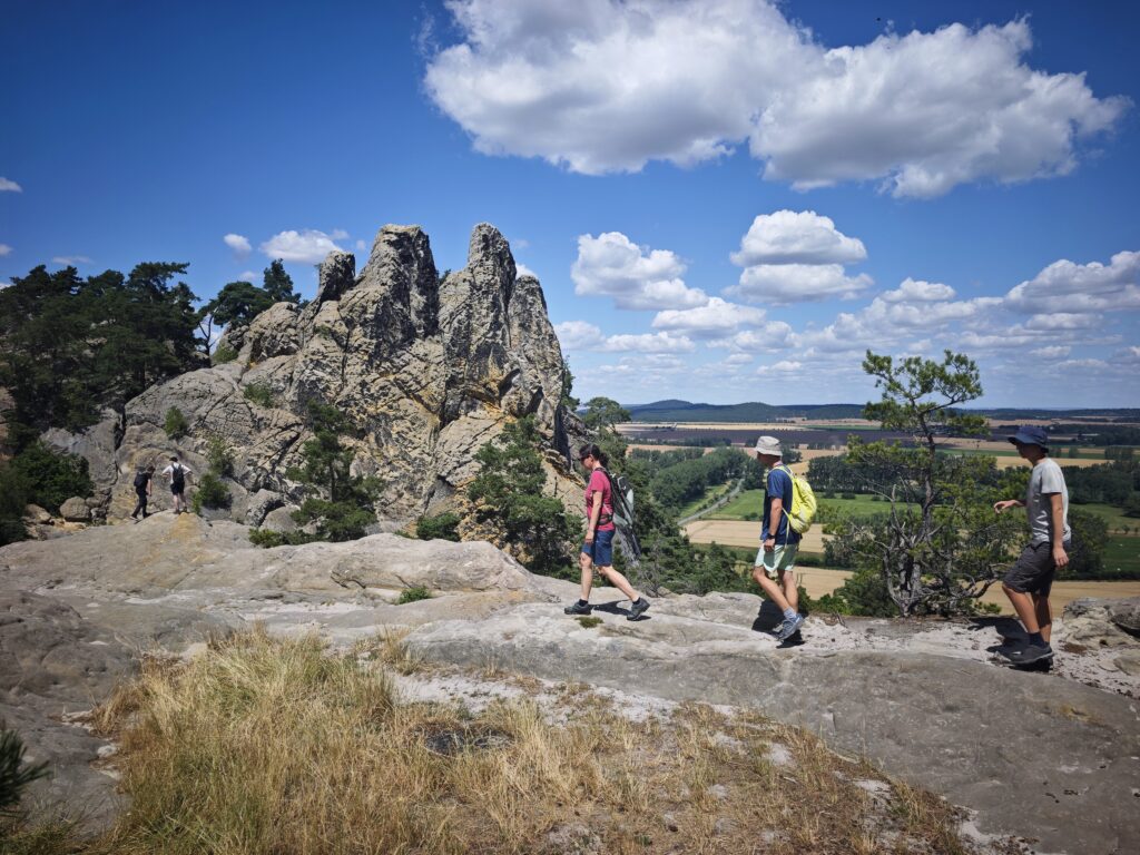 Teufelsmauer Hamburger Wappen - hier kannst du wirklich toll wandern