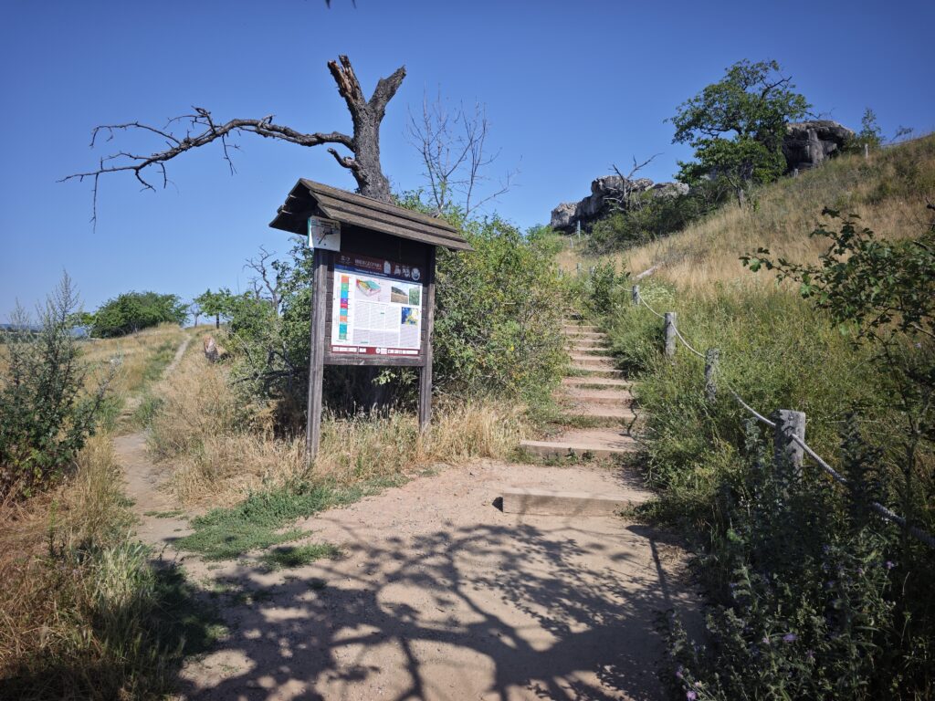 Teufelsmauer Königstein - kurz unterhalb der Felsmauer